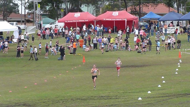 NSW Cross Country Relay (D. Jolliffe)